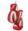 Gants de boxe